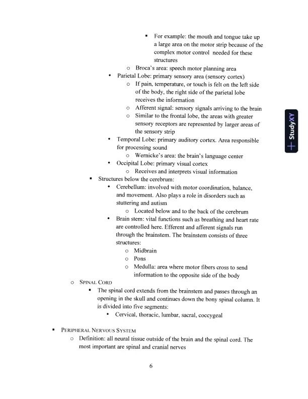 Primer On Communication And Communicative Disorders, A, 1st Edition Test Bank - Page 8 preview image