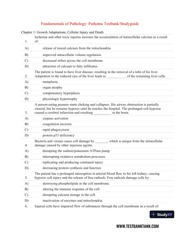 Fundamentals of Pathology 1st Edition Test Bank - Page 1 preview image