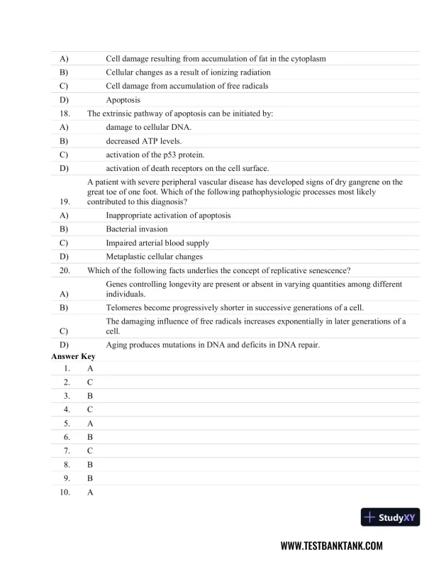 Fundamentals of Pathology 1st Edition Test Bank - Page 5 preview image
