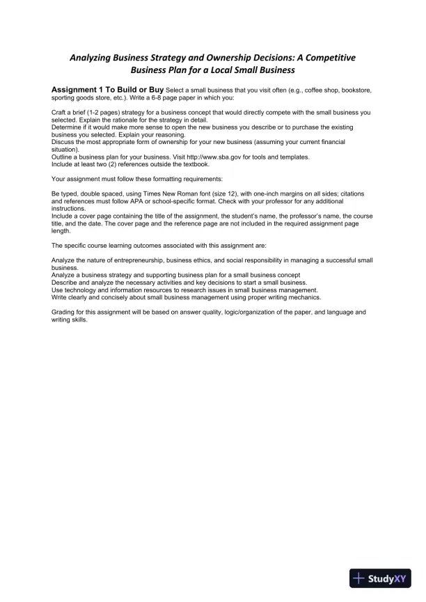 Analyzing Business Strategy and Ownership Decisions: A Competitive Business Plan for a Local Small Business - Page 1 preview image