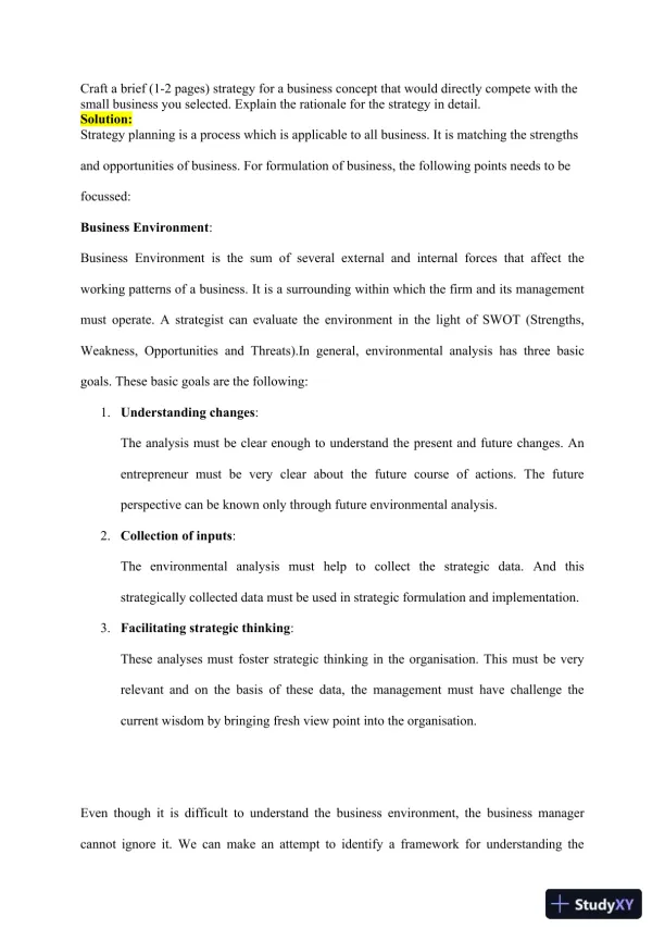 Analyzing Business Strategy and Ownership Decisions: A Competitive Business Plan for a Local Small Business - Page 3 preview image