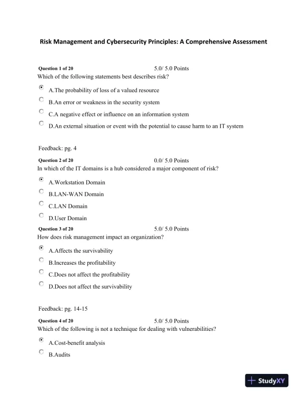 Risk Management and Cybersecurity Principles: A Comprehensive Assessment - Page 1 preview image