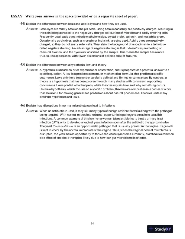 Test Bank For Microbiology: Basic and Clinical Principles 1st Edition Test Bank - Page 15 preview image