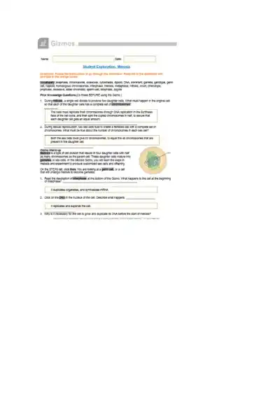 Understanding Meiosis A Step-by-Step Guide to Cell - Page 1 preview image