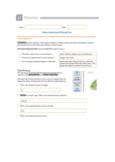 Cell Energy Gizmo Student Investigation - Page 1 preview image