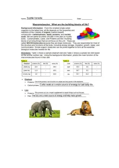 Macromolecules Building Blocks of Life for Elephan - Page 1 preview image