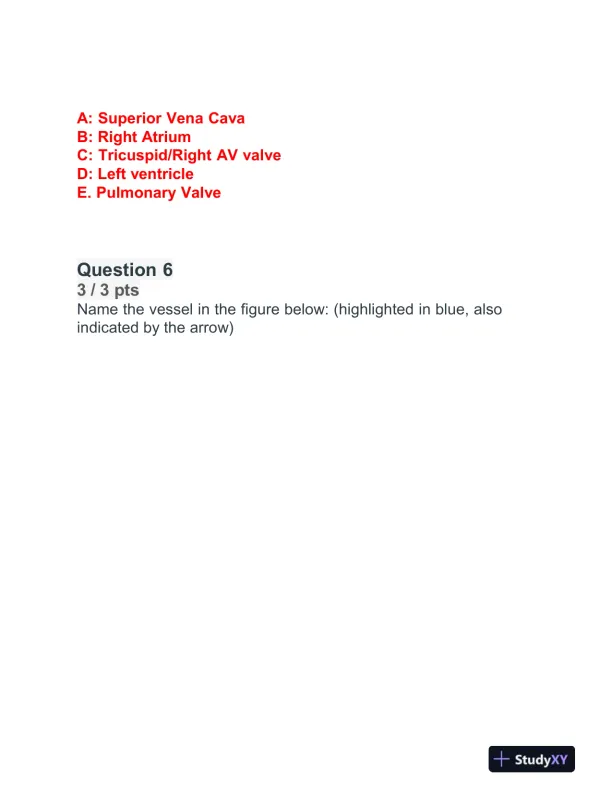 BIOD152 Cardiovascular Module Exam With Answers (32 Solved Questions) - Page 5 preview image