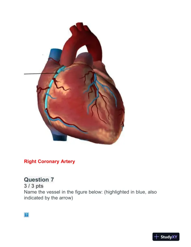 BIOD152 Cardiovascular Module Exam With Answers (32 Solved Questions) - Page 6 preview image