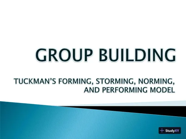 TUCKMAN�S FORMING, STORMING, NORMING, AND PERFORMING MODEL GROUP BUILDING - Page 1 preview image
