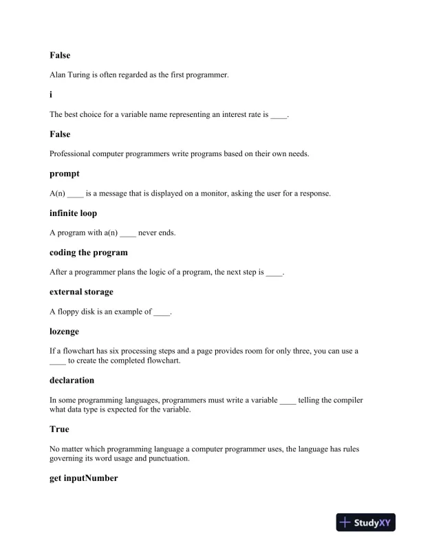 Fundamentals of Programming: Syntax, Logic Structures, and Variable Management - Page 4 preview image