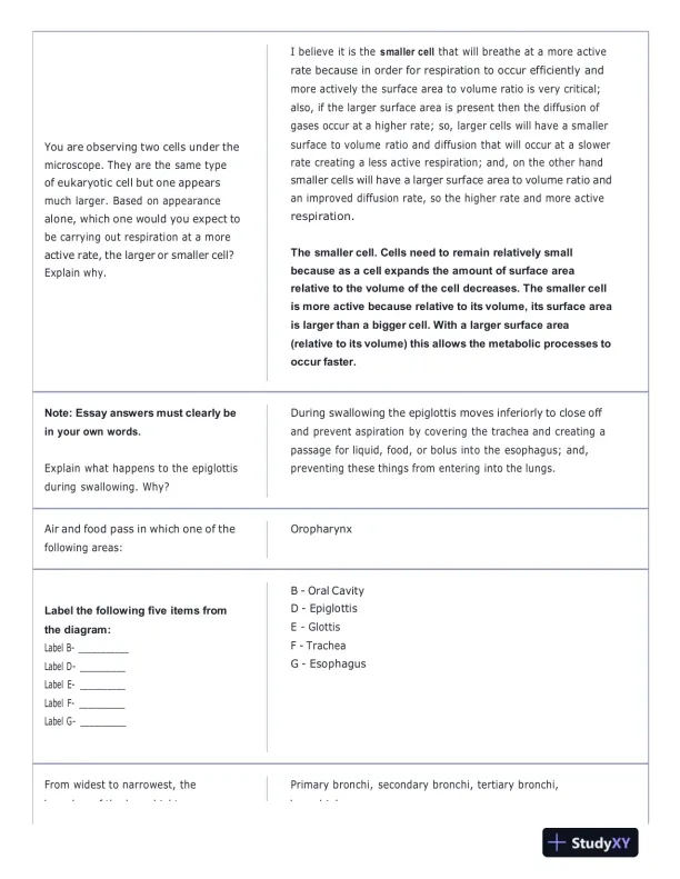 Portage Learning Anatomy and Physiology Final Exam With Answers (142 Solved Questions) - Page 3 preview image