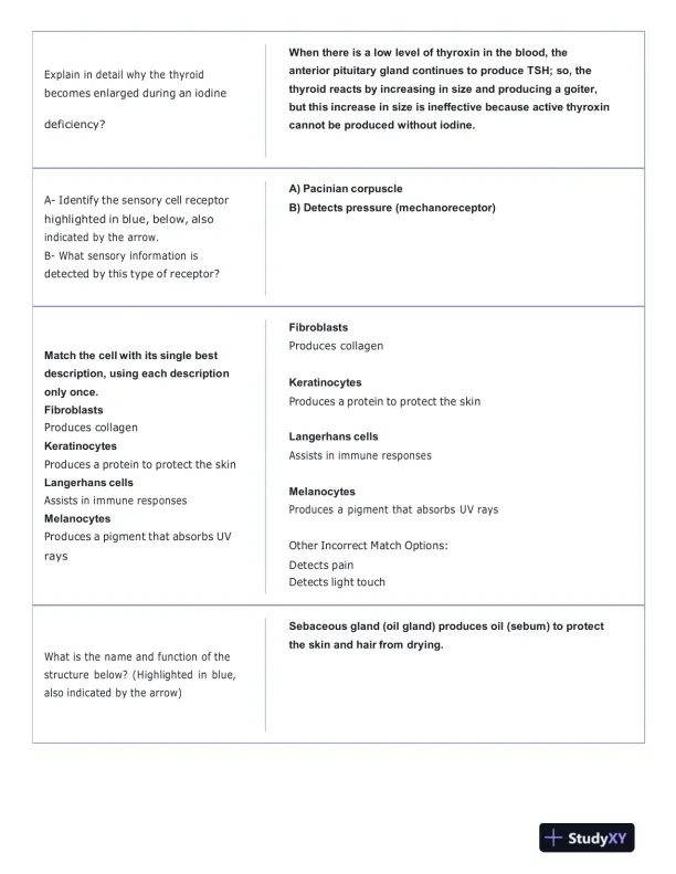 Portage Learning Anatomy and Physiology Final Exam With Answers (142 Solved Questions) - Page 7 preview image