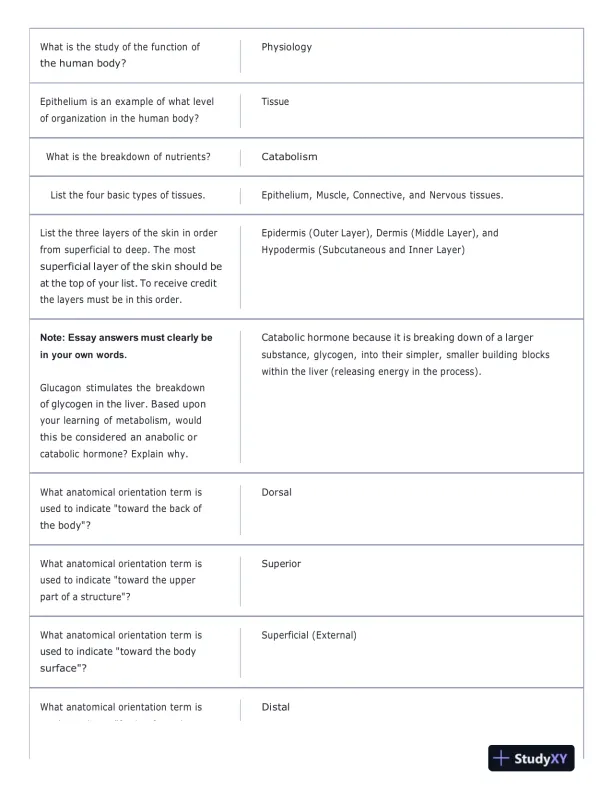 Portage Learning Anatomy and Physiology Final Exam With Answers (142 Solved Questions) - Page 8 preview image