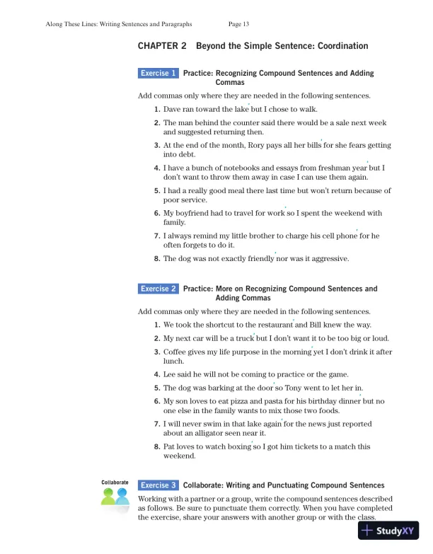 Solution Manual for Along These Lines: Writing Paragraphs and Essays with Writing from Reading Strategies, MLA Update, 7th Edition - Page 15 preview image