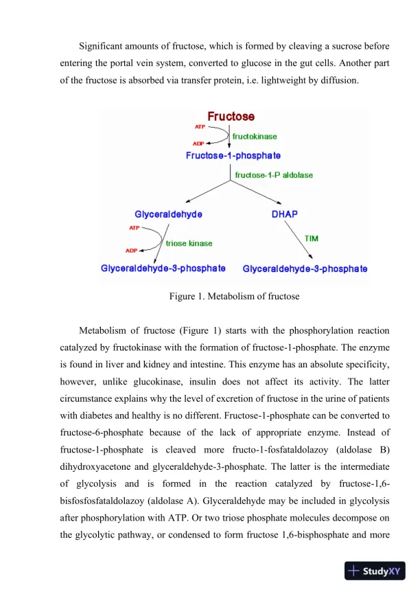 Metabolism and Genetic Disorders of Fructose: Pathophysiology, Diagnosis, and Treatment - Page 3 preview image