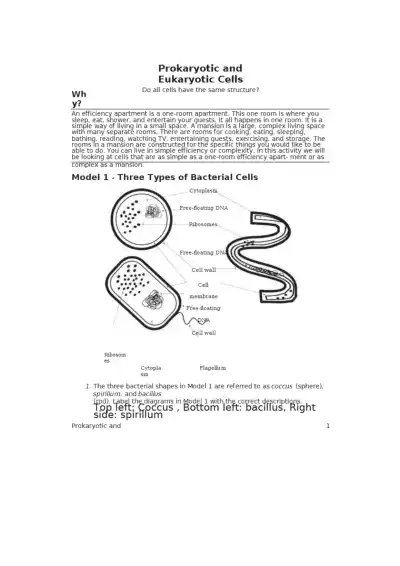 7 Prokaryote and Eukaryote Cells S - Page 1 preview image