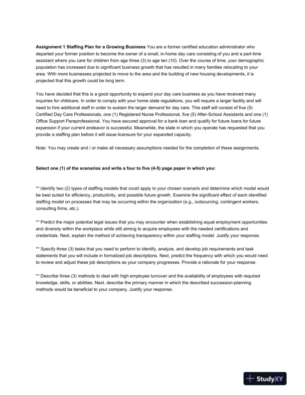 Staffing Plan for Expansion of an In-Home Day Care Business - Page 3 preview image