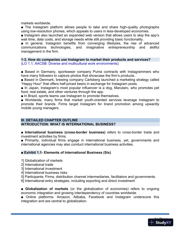 Solution Manual for International Business The New Realities, 5th Edition - Page 8 preview image