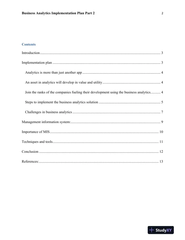Business Analytics Implementation Plan Part 2 - Page 3 preview image