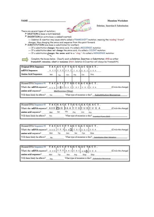 Kami Export - Sandra Nichols - Bio-Worksheet-Mutat - Page 1 preview image