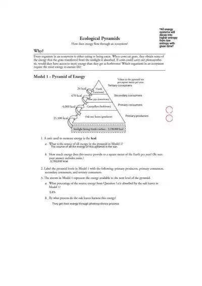 26 Ecological Pyramids - Page 1 preview image