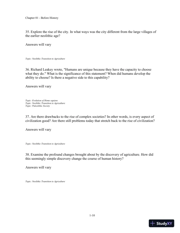 Traditions and Encounters: A Global Perspective on the Past 6th Edition Test Bank - Page 11 preview image