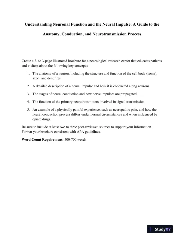 Understanding Neuronal Function and the Neural Impulse: A Guide to the Anatomy, Conduction, and Neurotransmission Process - Page 1 preview image