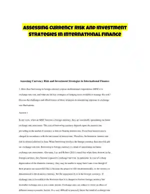 Assessing Currency Risk and Investment Strategies in International Finance