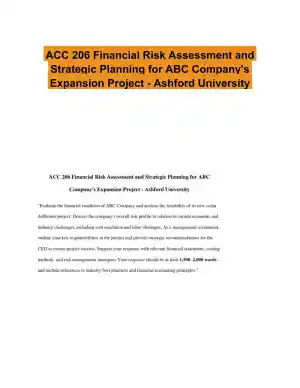 ACC 206 Financial Risk Assessment and Strategic Planning for ABC Company's Expansion Project - Ashford University