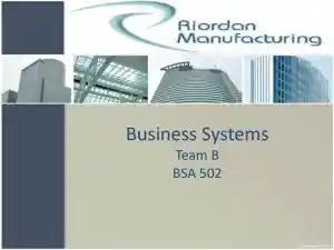 RIORDAN MANUFACTURING Business Systems - Team B BSA 502