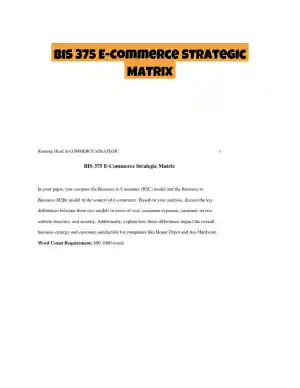 BIS 375 E-Commerce Strategic Matrix