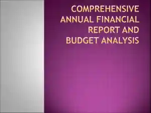 Comprehensive Annual Financial Report And Budget Analysis