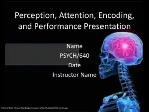 Perception, Attention, Encoding, And Performance Presentation - PSYCH/640