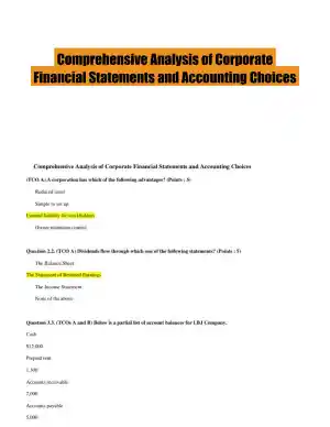 Comprehensive Analysis of Corporate Financial Statements and Accounting Choices