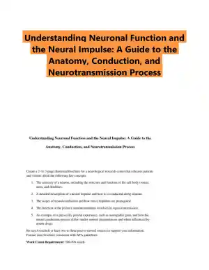 Understanding Neuronal Function and the Neural Impulse: A Guide to the Anatomy, Conduction, and Neurotransmission Process