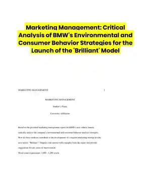Marketing Management: Critical Analysis of BMW's Environmental and Consumer Behavior Strategies for the Launch of the 'Brilliant' Model