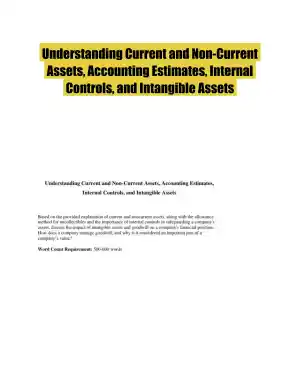 Understanding Current and Non-Current Assets, Accounting Estimates, Internal Controls, and Intangible Assets