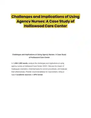 Challenges and Implications of Using Agency Nurses: A Case Study of Holliswood Care Center