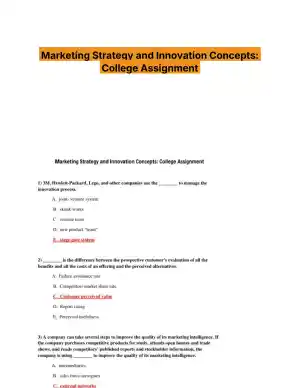Marketing Strategy and Innovation Concepts: College Assignment