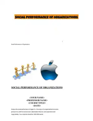 Social Performance of Organizations