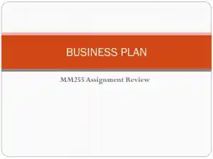 MM255 Assignment Review Business Plan