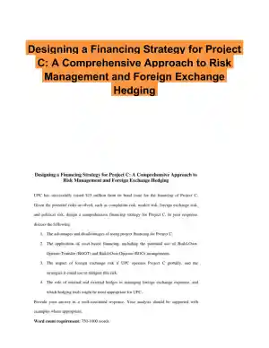 Designing a Financing Strategy for Project C: A Comprehensive Approach to Risk Management and Foreign Exchange Hedging