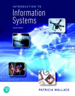 Introduction To Information Systems by Patricia Wallace - Image 1