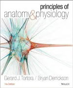 Principles Of Anatomy And Physiology by Gerald J. Tortora, Bryan Derrickson - Image 1
